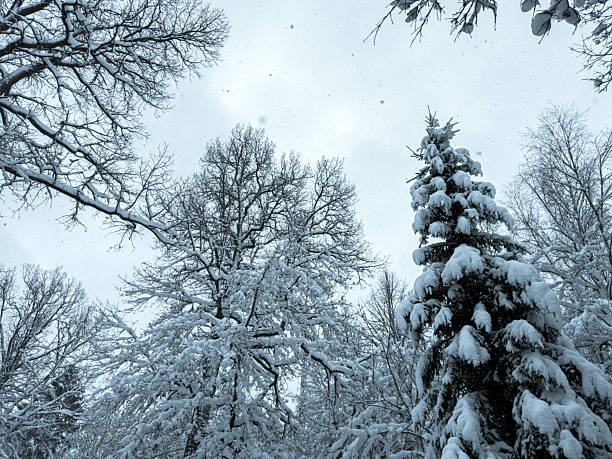 Overcast weather where snow covers all the reliefs in Camurac in Occitanie in Aude.