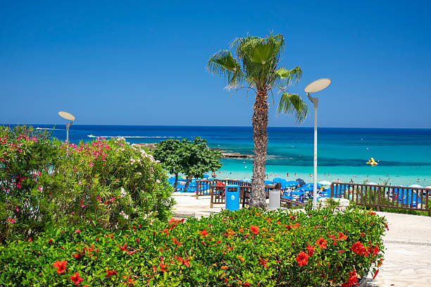 Sunny tropical seaside promenade with palm tree, colorful flowers and crystal clear turquoise sea. Summer vacation destination with beach umbrellas and calm ocean under blue sky.