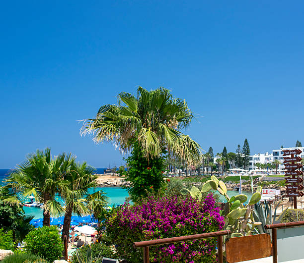Sunny tropical seaside promenade with palm tree, colorful flowers and crystal clear turquoise sea. Summer vacation destination with beach umbrellas and calm ocean under blue sky.