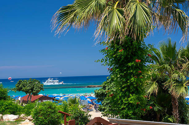 Sunny tropical seaside promenade with palm tree, colorful flowers and crystal clear turquoise sea. Summer vacation destination with beach umbrellas and calm ocean under blue sky.