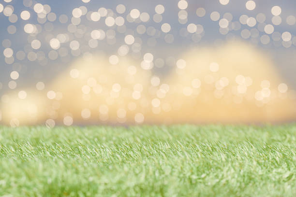 Green grass with blurred glowing lights in the background, creating a festive atmosphere. 3d rendering