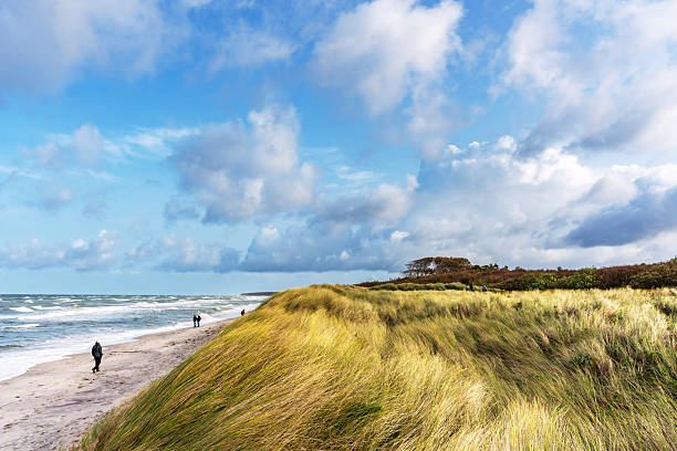 Wide Baltic Sea shoreline with windswept grasses, rolling dunes, and a blue sky filled with clouds. People walk along the sandy beach, conveying a calm, coastal landscape and outdoor travel vibe.