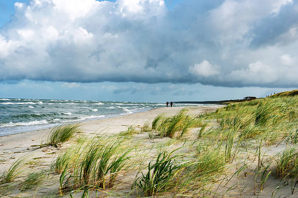 Wind-swept Baltic Sea beach in Germany with tall dune grass and dramatic clouds. Two people walk along the shoreline near Ahrenshoop, conveying solitude, nature, and coastal wind.
