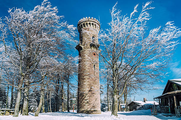 A tall stone tower rises through a snow-covered forest under a bright blue winter sky. Snow-laden trees frame the historic monument, evoking quiet, cold beauty and tranquil, timeless landscapes in Germany.