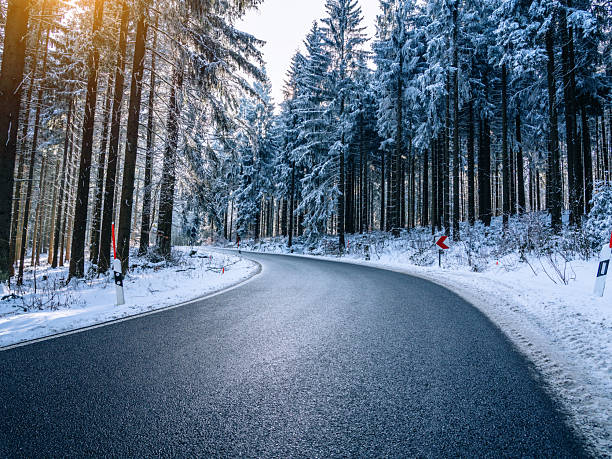 A winding mountain road curves through a snow-covered pine forest, sunlight glinting on the wet pavement. The serene wintry scene conveys calm, isolation, and the beauty of nature in cold conditions.