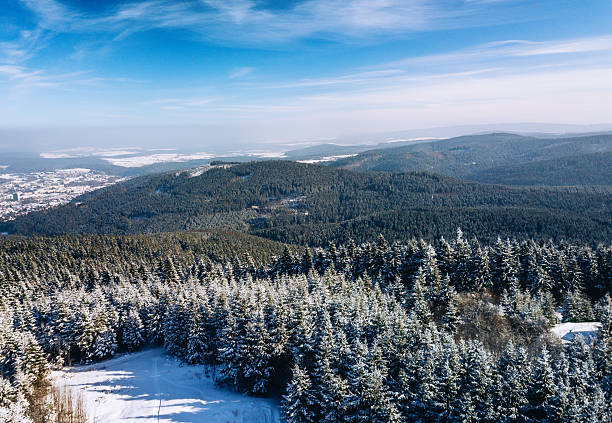 Snow-covered pine forest stretches across rolling hills under a clear blue winter sky. A tranquil, high-altitude landscape near Kickelhahn Mountain in Ilmenau, Thuringia, Germany, conveying calm, cold, and expansive beauty.