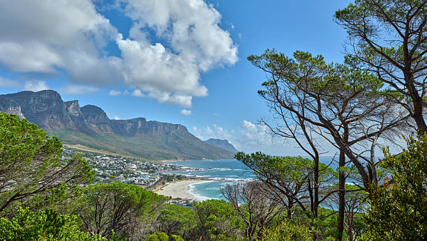 istock Scenic coastal panorama in Cape Town with cliffs, ocean and pine trees framing a sunny Western Cape day in South Africa 2259897649