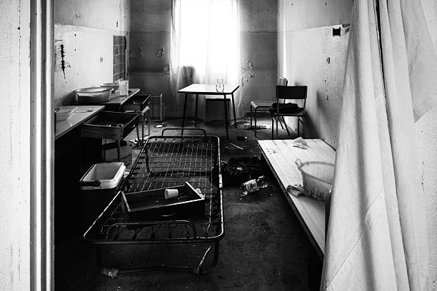 This atmospheric image reveals a derelict industrial interior bathed in soft natural light filtering through grimy metal-framed windows, where rusted corrugated walls are scarred with vibrant graffiti tags and peeling paint. A dilapidated wooden table and bench sit amid scattered debris and cracked concrete floor, with faint hints of encroaching greenery outside evoking nature's quiet reclamation. The moody composition captures urban exploration and forgotten spaces, ideal for themes of decay, nostalgia, post-apocalyptic storytelling, or atmospheric editorial in advertising, film concepts, or lifestyle visuals.