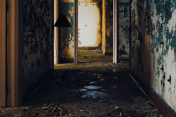 Overgrown by plants old abandoned building interior.