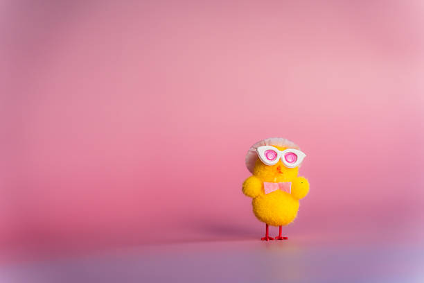Cute Easter-themed fluffy chick wearing a hat and glasses, positioned in front of a pink background with empty space for text or design. Playful and festive composition, colorful design, whimsical character, and seasonal decoration concept.