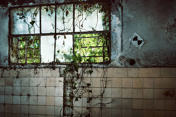An old building's wall almost entirely obscured by growing vine, showcasing nature's ability to reclaim urban structures. Sunlight filters through, creating patterns of light and shadow on the textured surface. A small window peeks out amidst the leaves, adding a contrasting element to the scene.