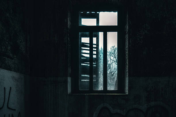 Urban exploration (often shortened as urbex) is the exploration of manmade structures, usually abandoned ruins or hidden components of the manmade environment. Photography and historical interest/documentation are heavily featured in this hobby.