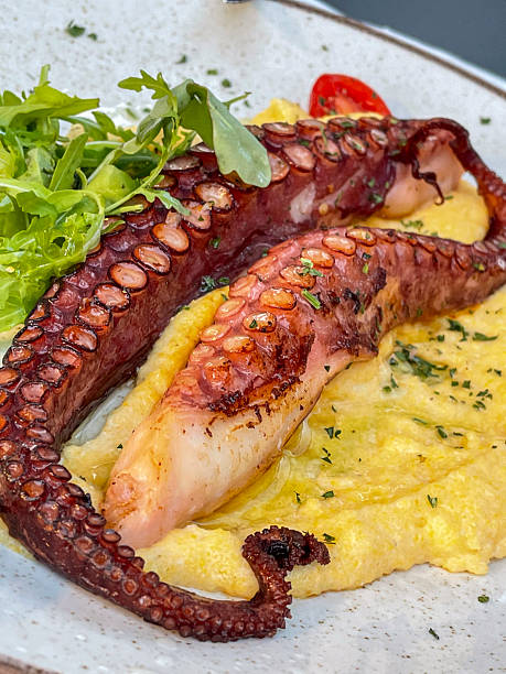 Gourmet Cooked Octopus Tentacles Dish Served on Creamy Polenta with Fresh Arugula