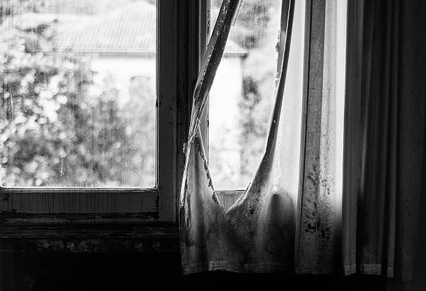 Urban exploration (often shortened as urbex) is the exploration of manmade structures, usually abandoned ruins or hidden components of the manmade environment. Photography and historical interest/documentation are heavily featured in this hobby.