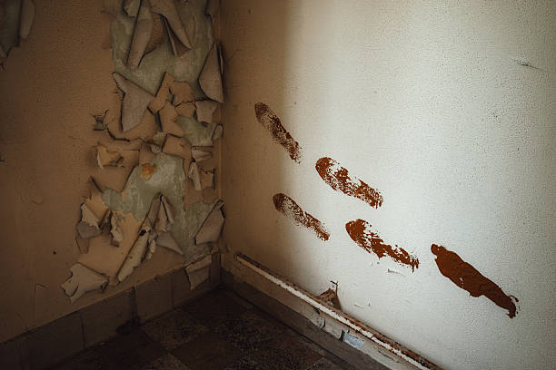 Urban exploration (often shortened as urbex) is the exploration of manmade structures, usually abandoned ruins or hidden components of the manmade environment. Photography and historical interest/documentation are heavily featured in this hobby.