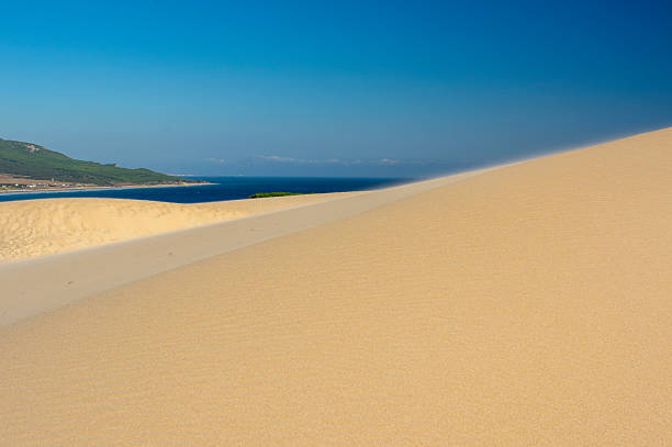 Minimal sand dune landscape with smooth golden textures, deep blue sky and distant ocean horizon. Natural background with copy space, ideal for travel, wellness, freedom and calm concepts.