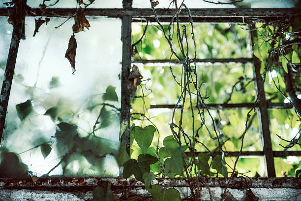 abandoned house