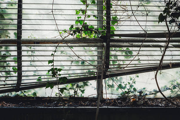 Urban exploration (often shortened as urbex) is the exploration of manmade structures, usually abandoned ruins or hidden components of the manmade environment. Photography and historical interest/documentation are heavily featured in this hobby.