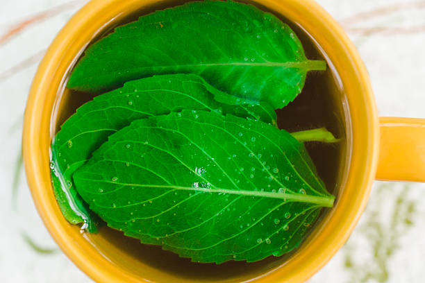 Mint flavored tea, view from above closeup. Organic green Tea ceremony time concept. Aromatic natural mint tea in yellow ceramic cup.