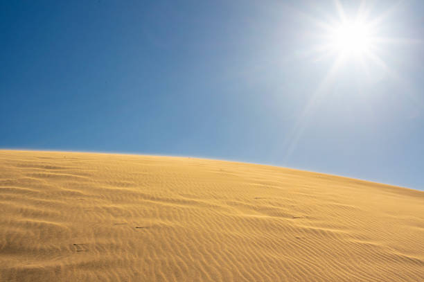 Golden sand dunes illuminated by strong sunlight under a clear blue sky, creating a minimal and tranquil desert landscape. Natural textures and smooth curves evoke heat, solitude, freedom, and environmental concepts, ideal for backgrounds, travel, climate, or abstract design use.