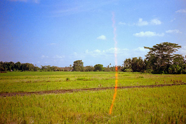 Wide view of lush green rice paddy under a vibrant blue sky with scattered clouds and a distinctive vertical light leak. Scanned from analog film