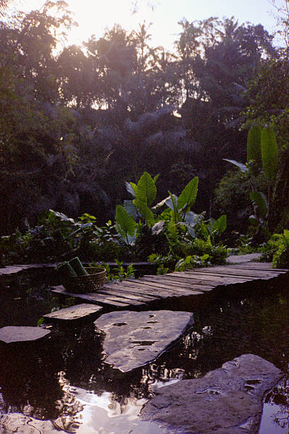 Wooden pathway and stepping stones crossing calm water in a serene tropical jungle setting, with baskets of rolled spa towels. Scanned from analog film