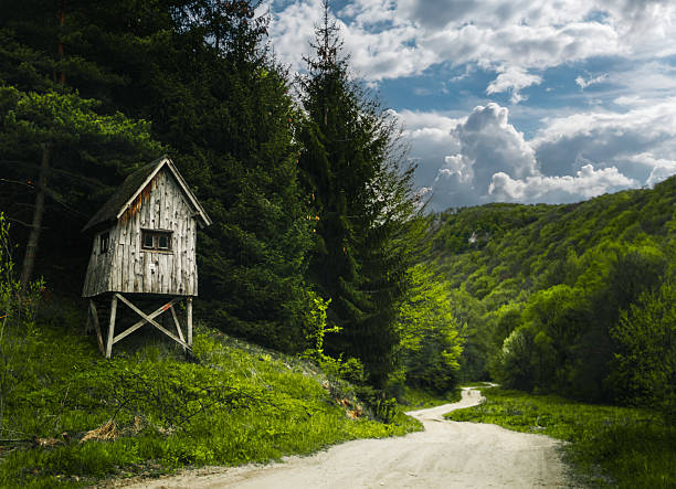 Spooky cabin in the woods