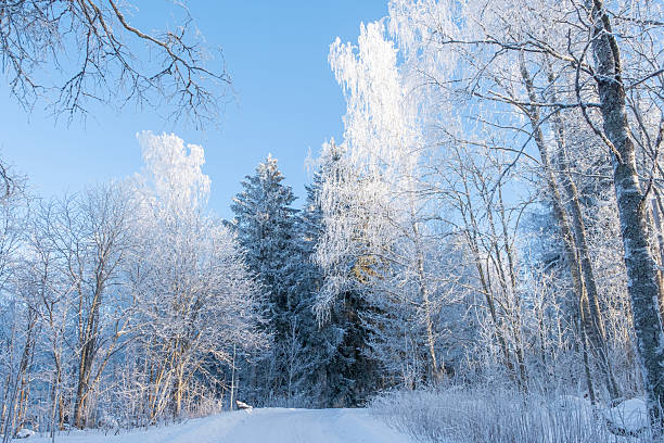 Lahti City Park, Finland, winter landscape