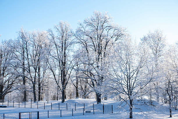 Lahti City Park, Finland, winter landscape