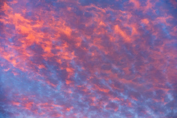 This is a photograph of pink colored clouds across the sky at sunset in Apopka, Florida.