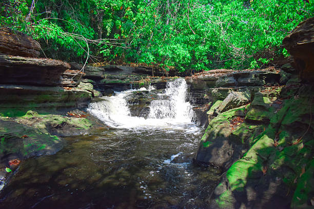 The Pigeon River is a paradisiacal place, located 22 km from the municipality of Apuí, Amazonas State, Brazil. It is frequented by many families due to its beauty and features a trail that leads to a beautiful waterfall.