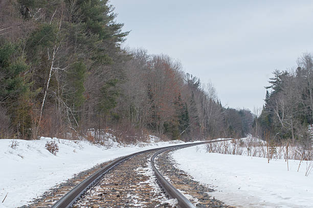 Train Tracks cut through the Ontario wilderness in winter