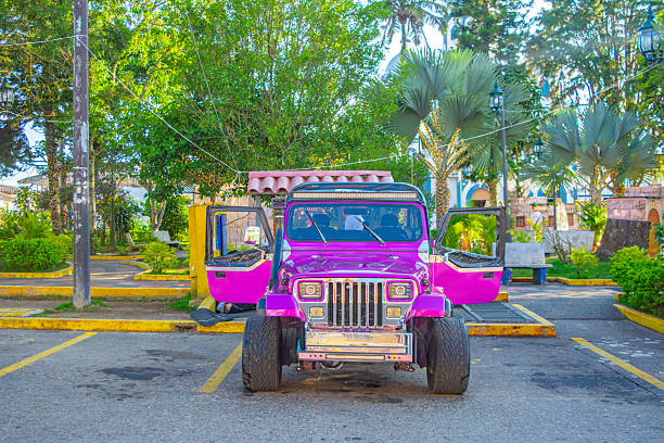 Remedios de Escalada, Argentina - Feb 11, 2024: Old aged 1962 Desoto 100 pickup truck under the trees at a classic car show in a park.