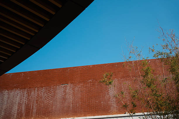 Red walls and green plants