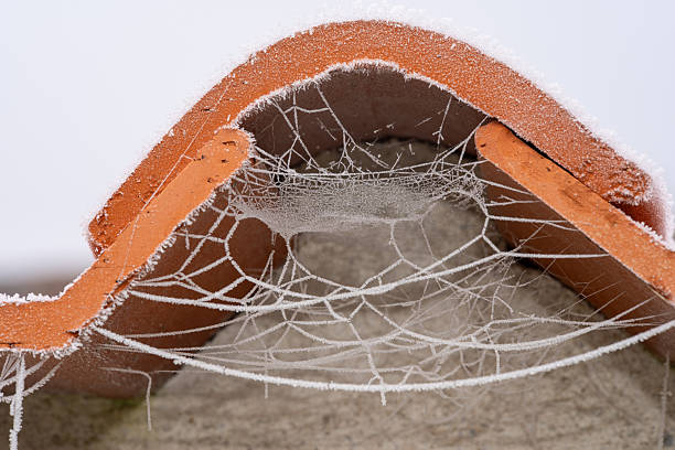 Frost Covered Spider Web Hanging Under Roof Tile in Winter Cold