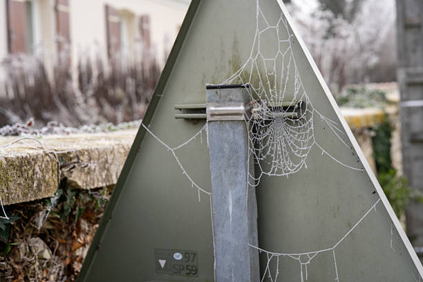 Frost Covered Spider Web on Metal Sign in Cold Winter Urban Setting