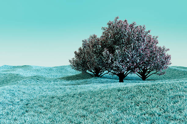 Beautiful pink and purple infrared panorama of a forest