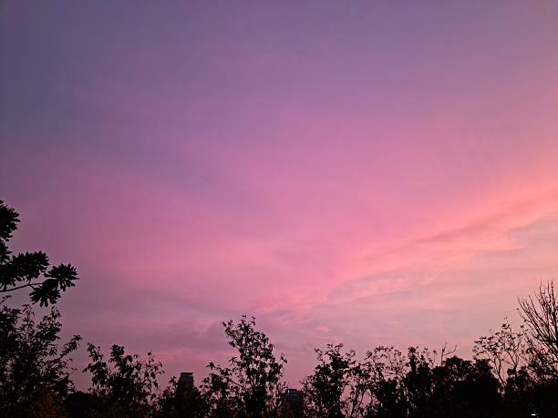 Colorful cloudy sky at sunset. Gradient color. Sky texture. Abstract nature background
