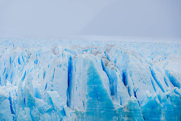 A dramatic, full-frame close-up of the frozen surface of the Perito Moreno Glacier in Los Glaciares National Park, Argentina. The image captures the intense blue tones of deep glacial crevasses and the sharp, rugged texture of ice seracs. This detailed natural pattern serves as a perfect abstract background for concepts related to climate change, fresh water reserves, and the extreme wilderness of the Southern Patagonian Ice Field.