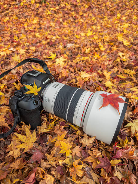 Canon EOS R5 Mark II Digital Mirrorless Camera on a Black Background. R5 a new generation hybrid camera. Canon is a world-renowned leader in SLR camera manufacturing. 07.10.2024, Yerevan, Armenia.