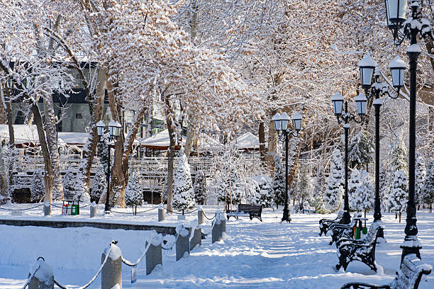 Serene park pathway lined with benches and vintage lamps, all blanketed in thick snow under clear winter skies