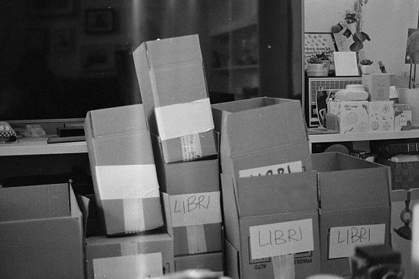 Warehouse of paper cardboard for making boxes