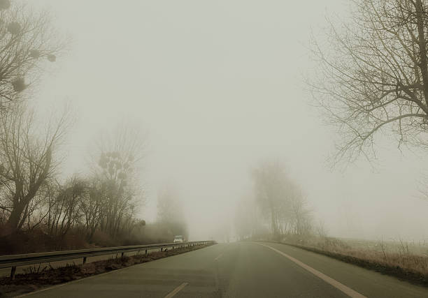 Empty road covered in dense fog with bare trees along the sides. Moody winter landscape representing uncertainty, journey, travel risk, solitude and reduced visibility conditions.