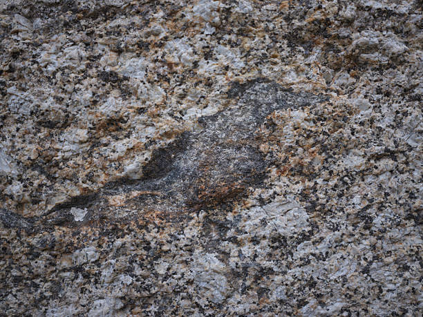 Stone texture with bird motif, Portugal
