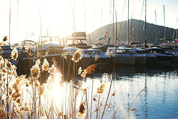 Yachts standing at Gocek marine
