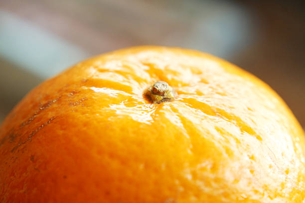 Macro Photography Highlighting Orange Fruit Skin