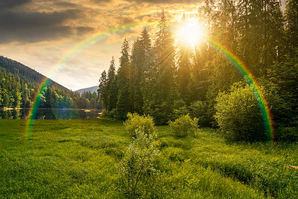 istock lake in summer mountain landscape at sunset 2260048590