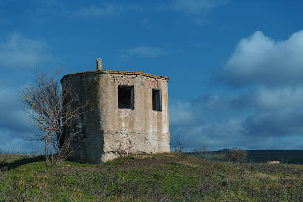 Photo taken at noon, perfect lighting conditions