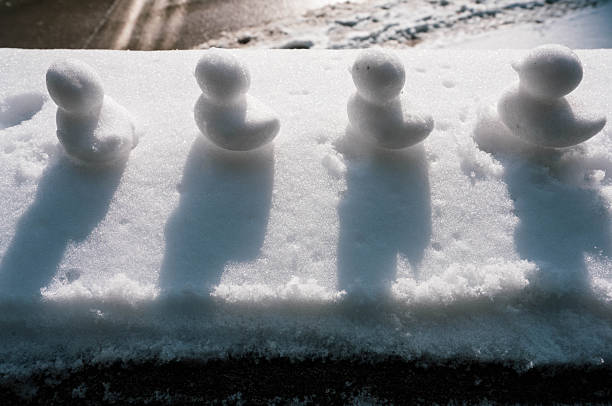 Small snowman braves the thaw period