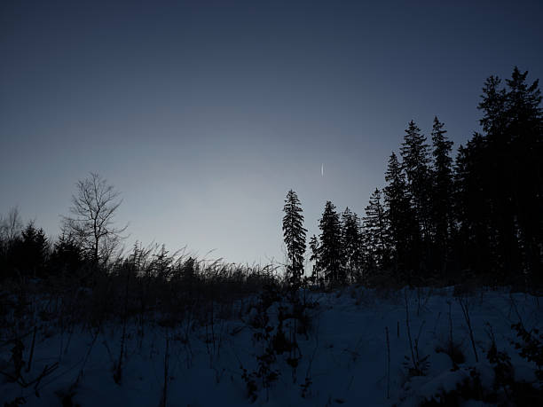 Moonlight. Night landscape